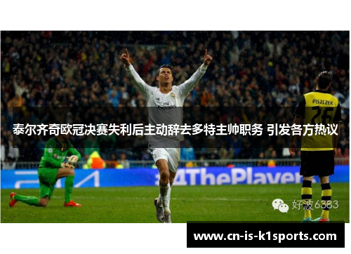 泰尔齐奇欧冠决赛失利后主动辞去多特主帅职务 引发各方热议 泰尔齐奇欧冠决赛失利后主动辞去多特主帅职务 引发各方热议